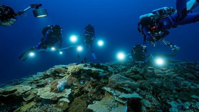 生物多样性｜南太平洋塔希提岛海岸发现罕见珊瑚礁