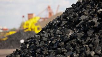 煤炭股兰花科创涨停：产品量价齐升，去年净利预增473%