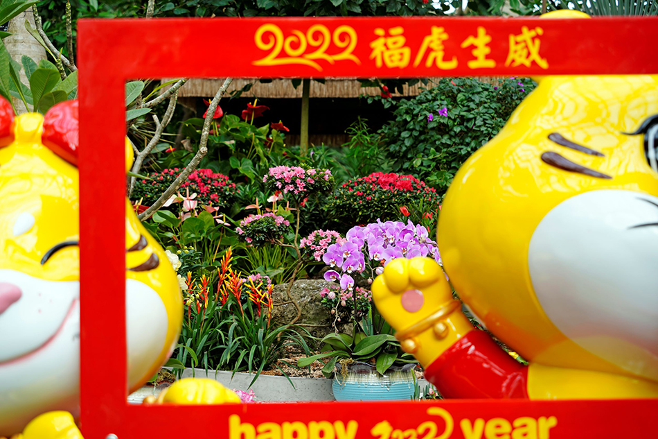 “福虎生威”年宵花展。 上海植物园 图