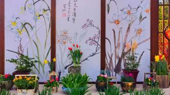虎尾兰、虎刺梅、星虎斑木……年宵花展在沪上公园限时展出