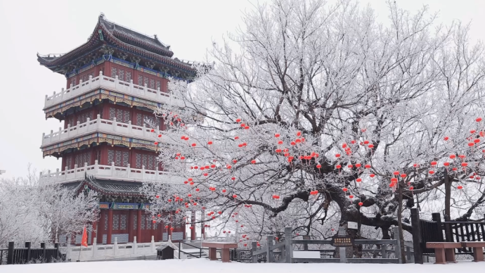 大寒飛雪，霧凇將云臺山裝點如冰雪童話世界