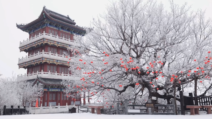 大寒飞雪，雾凇将云台山装点如冰雪童话世界