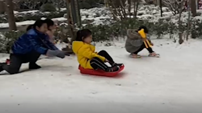 小区草坪雪后变“滑雪场”，奶奶带孙女玩耍