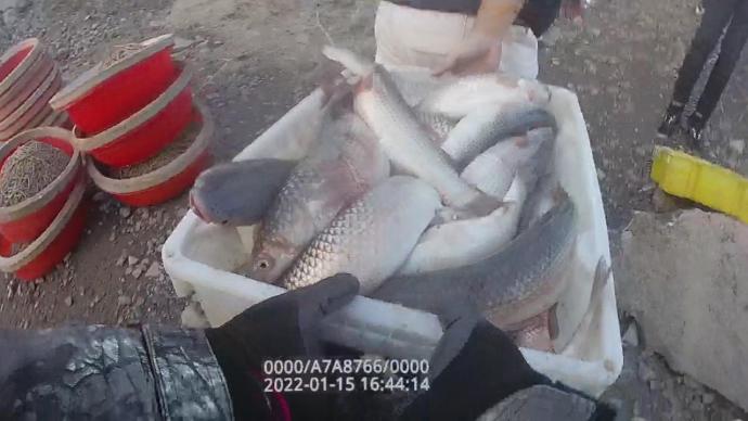上海警方破获今年首起非法捕捞案，缴获渔获1100余公斤