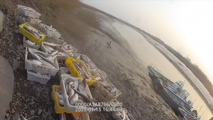 上海警方破获今年首起非法捕捞案，缴获渔获1100余公斤