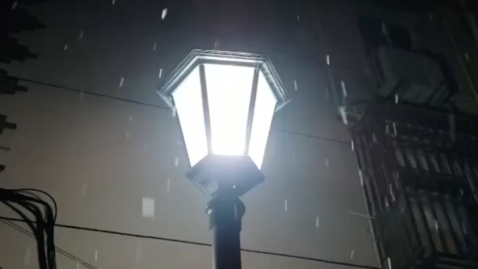 瑞雪兆丰年！上海昨夜下雪啦