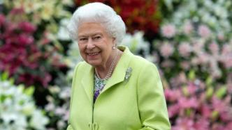王冠丨放假阅兵音乐会，英国将这样庆祝女王登基70周年