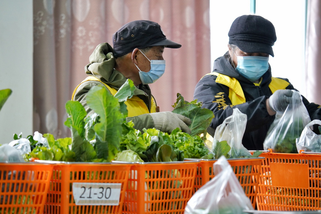 大红灯笼、年夜饭、特色焋糕……上海幸福村八组除夕年味十足