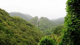 日本佐渡金山申报“世遗”遭韩反对：二战强征劳工的“犯罪现场”