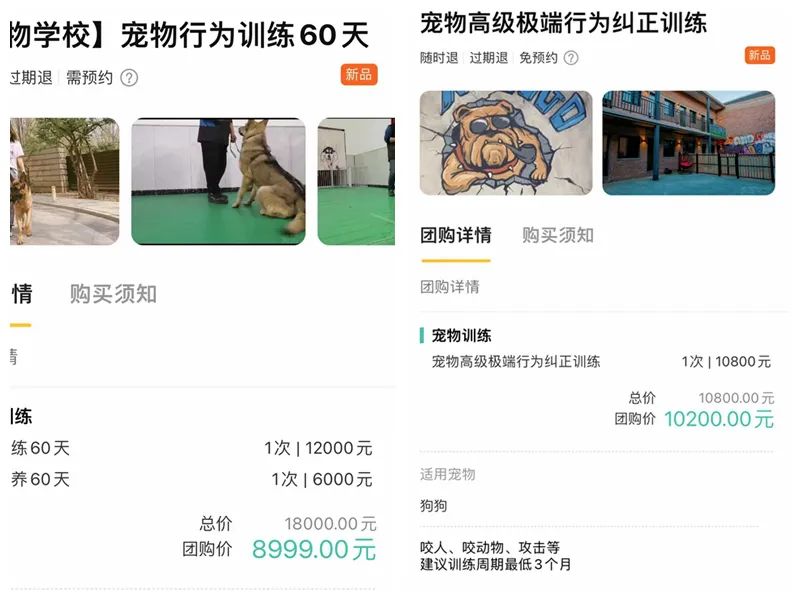 北京部分宠物学校培训课程收费上万元