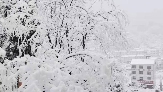 虎年第一个工作日，湖北多地大雪纷飞