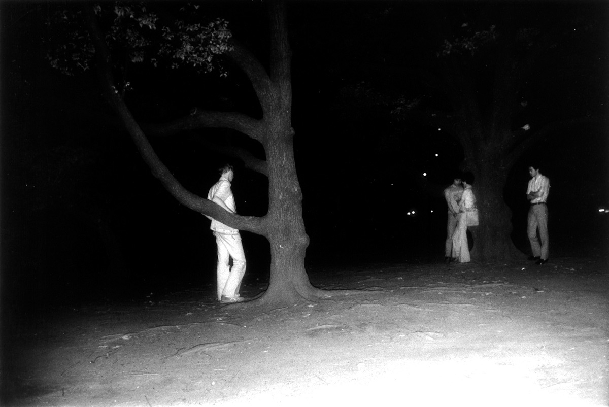 Untitled，1979