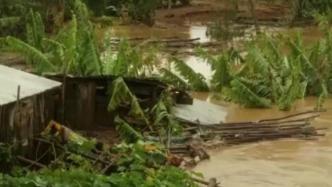 热带气旋“巴兹莱”在马达加斯加已造成10人死亡