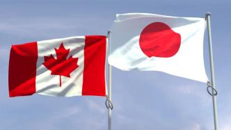 日本首相与加拿大总理电话会谈，双方高度关注乌克兰局势