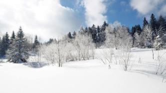 雪片与芯片：关于冬奥的兴发