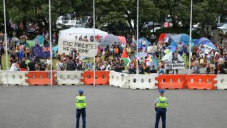 新西兰反疫苗示威持续一周，阿德恩：感觉像是“进口”的抗议