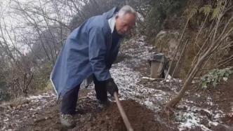 獨自種出一片森林，這位老人花40年守護綠水青山