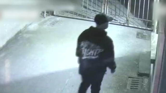 小偷半夜盜竊,女子先裝睡再報警