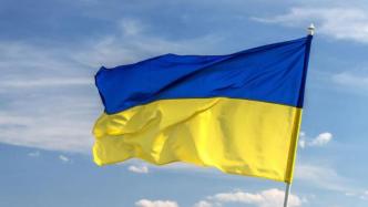俄媒：乌克兰向乌东争议地区发射迫击炮弹和手榴弹