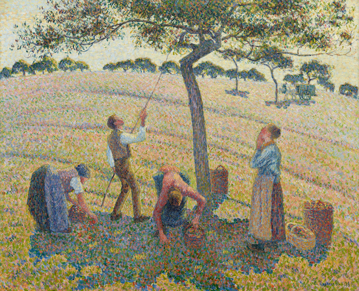 毕沙罗《采摘苹果（Apple harvest）》，1887-1888年