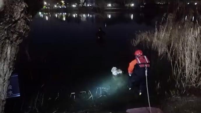 江蘇一男子欲跳河輕生，兩只寵物狗“不離不棄”