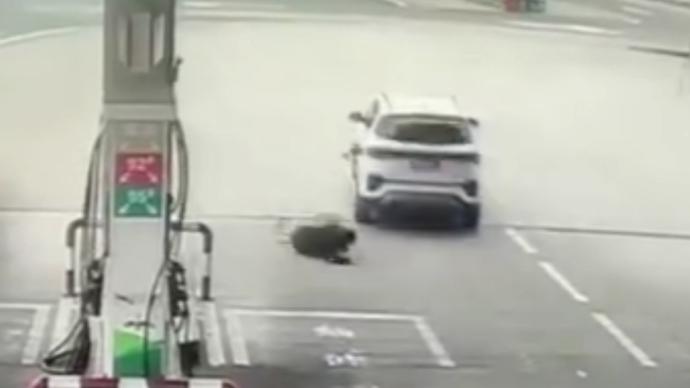 司機未等加油槍拔出就駕車離開，絆倒工作人員