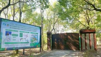 探寻森林奥秘，上海城市森林生态国家站科普基地将对外开放