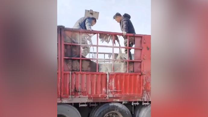 見到貨車起火,路邊退役軍人上前幫撲救