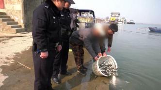非法电捕鱼，男子被罚放流1.4万尾鱼苗