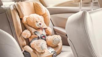 专家呼吁将使用儿童安全座椅写入道路交通安全法