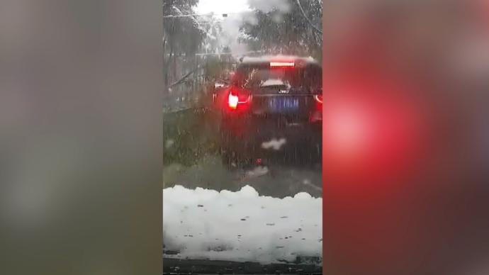 萌娃“神預(yù)言”，剛說(shuō)完大雪壓倒樹下一秒前車就被砸