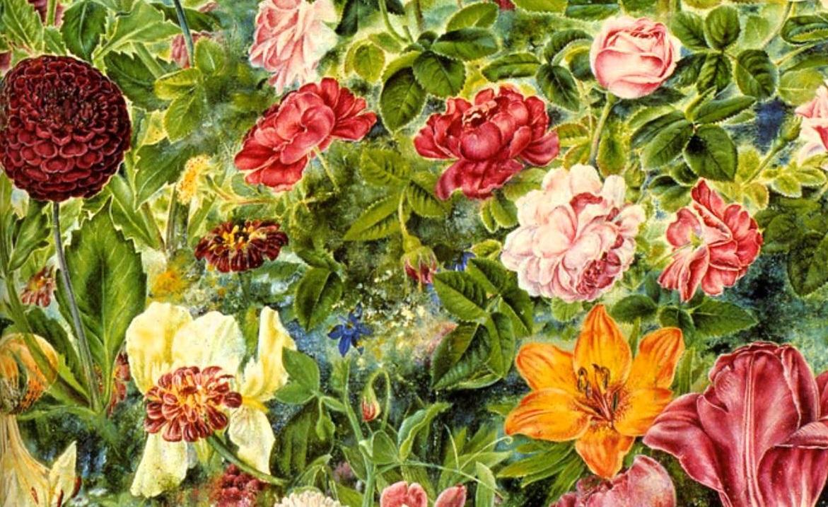 凯特琳娜·比洛克所画的花卉