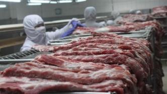 国家发改委启动中央冻猪肉收储工作，新希望涨停领涨猪肉股