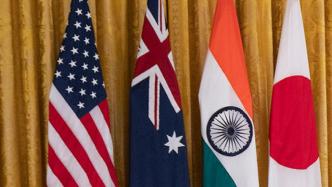 印外交部：美日印澳领导人将于今日举行线上会晤