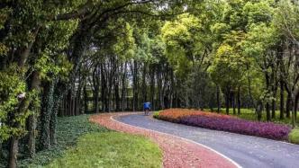 上海浦西外环绿道已基本建成，浦东今年计划建成18.3公里