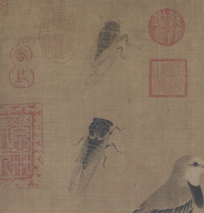 五代 黄筌 《写生珍禽图》卷（局部） 故宫博物院藏