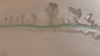 黄河入海口，潮汐绘制出的一幅幅“山水画”