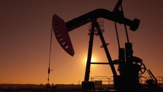 俄罗斯石油禁运风险升温，布伦特油价逼近140美元/桶