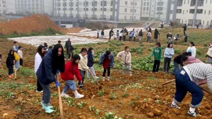 大学生上课学习种菜，学生：食品专业，已不是第一次锄地