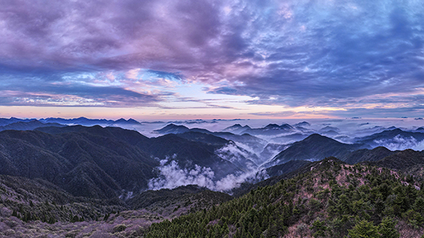 百山祖景区图片图片