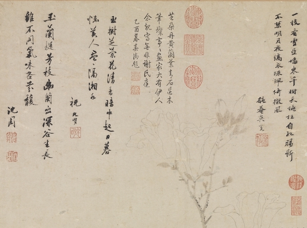 明 沈周 《画芝兰玉树》轴（局部） 台北故宫博物院藏
