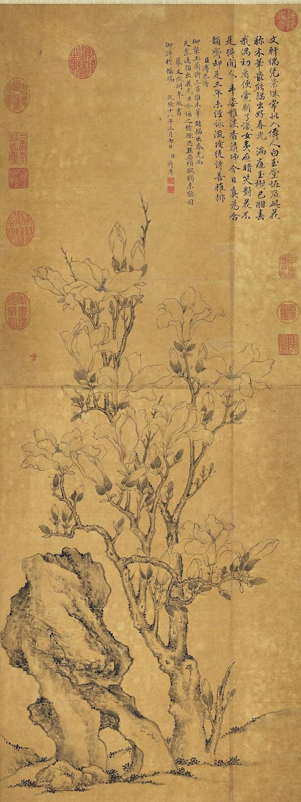 清 蒋溥 《摹文徵明玉兰花》轴  台北故宫博物院藏