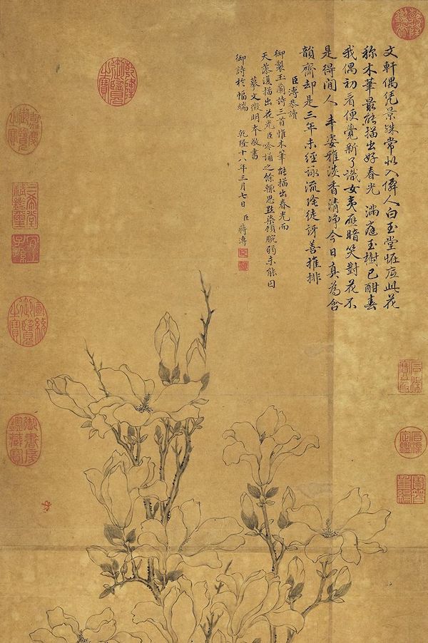 清 蒋溥 《摹文徵明玉兰花》轴（局部）  台北故宫博物院藏