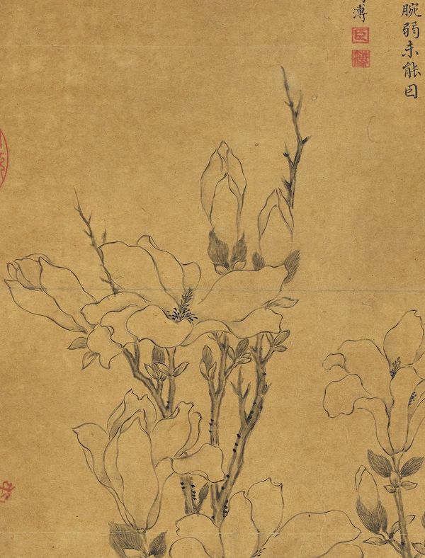 清 蒋溥 《摹文徵明玉兰花》轴（局部）  台北故宫博物院藏