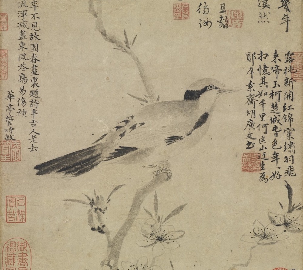 元 张中 《桃花幽鸟图》轴（局部） 台北故宫博物院