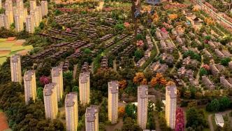 315維權(quán)｜樓盤(pán)降價(jià)過(guò)三成遭業(yè)主反對(duì)，主管部門(mén)：無(wú)限跌令