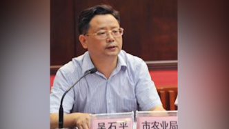 长沙市人大农委一级调研员吴石平涉嫌严重违纪违法，主动投案