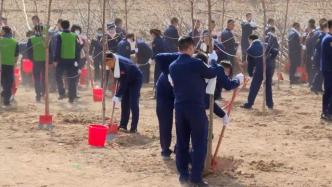 山东省消防救援总队开展生态保护林植树活动，种树600余棵