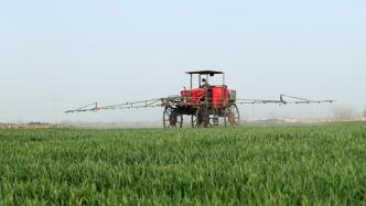 中央财政预拨16亿元支持小麦防灾稳产等田管措施