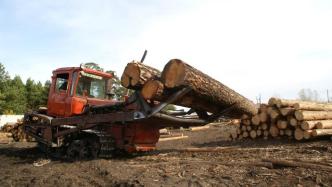 俄工业和贸易部提议禁向“不友好国家”出口木材及其系列制品